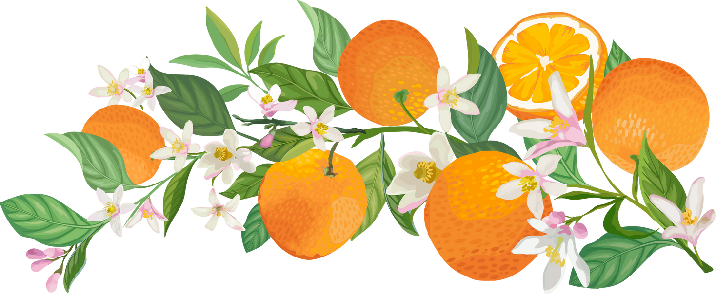 Oranges, Flowers and Leaves Branch